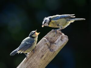 体臭をチェックするための効果的な方法は？