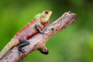 加齢臭のセルフチェックで自分の臭いを確認する方法は？