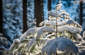 夫の加齢臭に効果的な対策は何ですか？