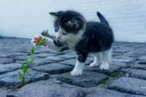 旦那の臭い対策にはどんな方法が効果的？